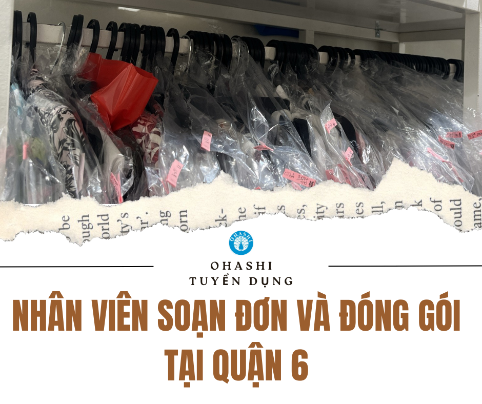 lĩnh vực hoạt động